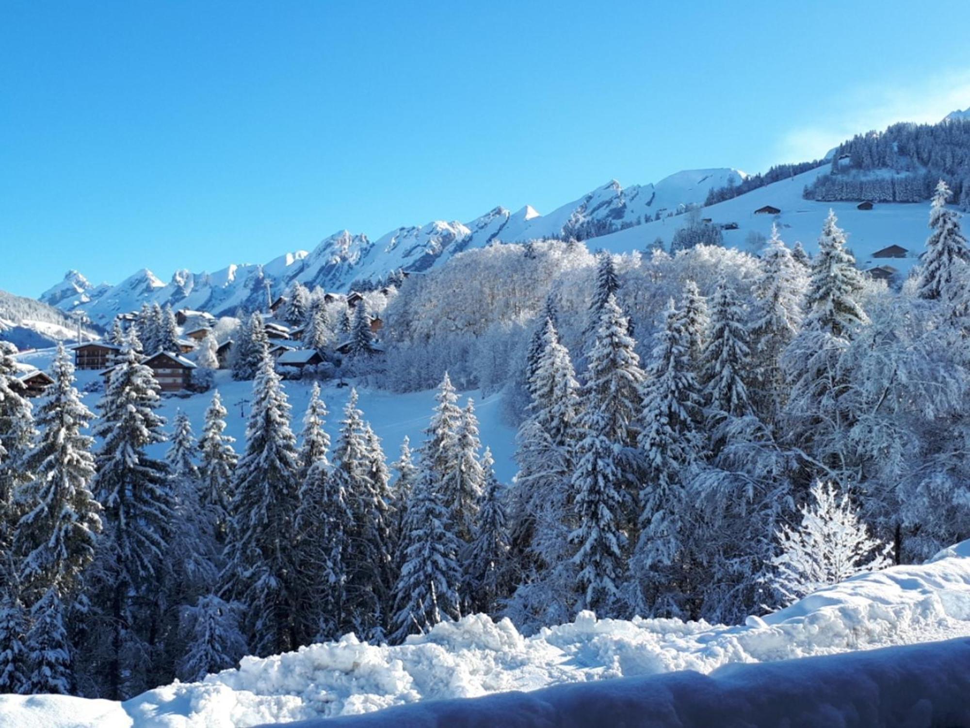 Appartement Ski Aux Pieds, 2 Chambres, Terrasse Et Parking Couvert - La Clusaz - Fr-1-459-49 Kültér fotó